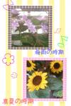 ・・「季節の花」