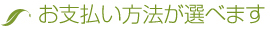 お支払方法が選べます