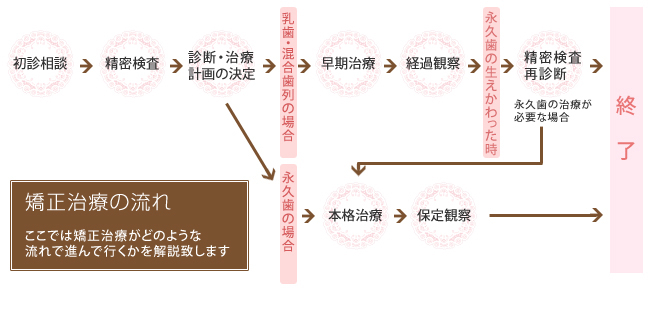 矯正治療の流れ